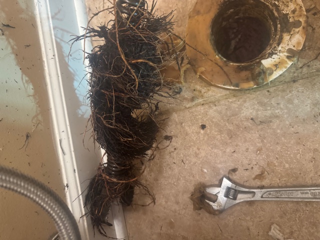 Golden Pipes Plumbing: Expert Sewer Rodding in Western Springs, IL